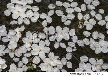 素材 材料 水面 247379