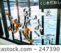 The Sumida River in both countries 247390