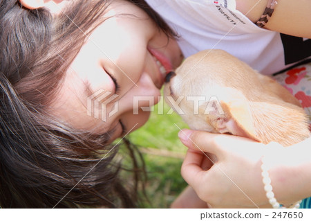 Girl and Chihuahua 247650