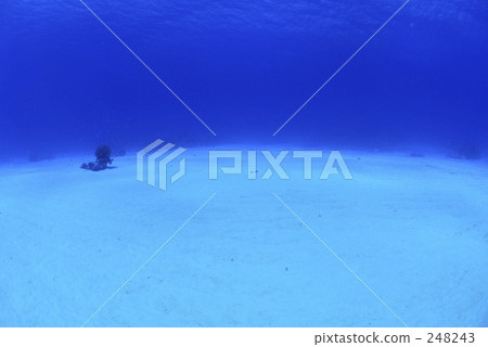 海底的 海裡 北馬里亞納群島 248243