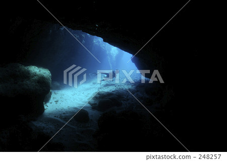 diver, divers, saipan 248257