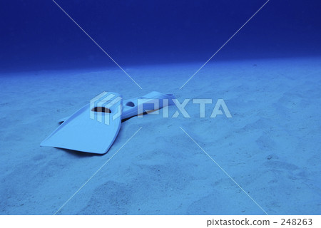 魚翅 腳蹼 水下照片 248263