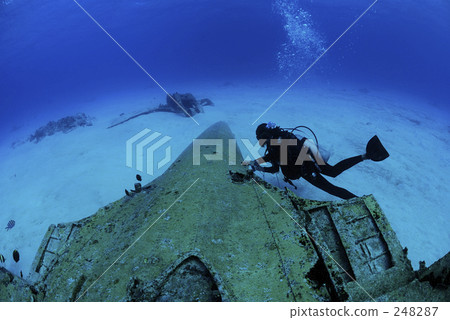 scuba diving, scuba dive, underwater photograph 248287