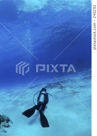 水下照片 戴水肺潛水 潛水員 248292