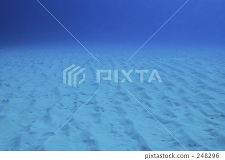 海底的 海裡 塞班島 248296