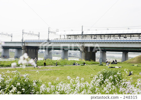 dry river bed, futakotamagawa, tamagawa 248315