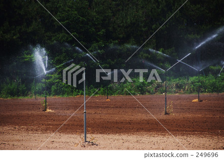 Watering the field 249696
