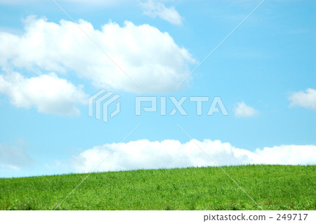 Landscape 1 249717