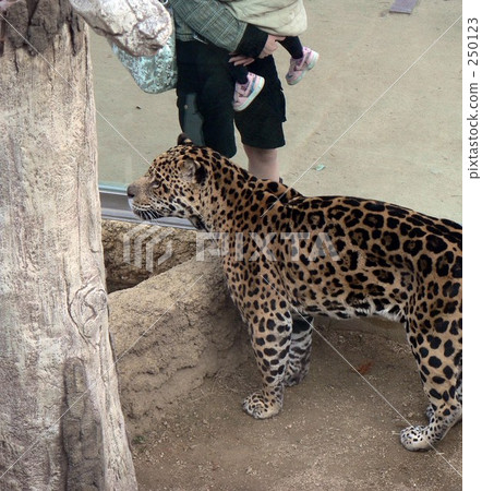 這很危險！ 250123