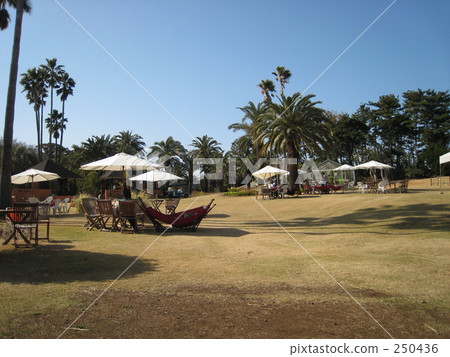 嘟嘟車 吊床 椰子樹 250436