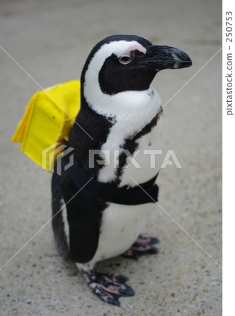 My first grade - Yellow school bag My first grade - Yellow school bag 250753