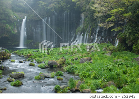 White morning white thread White morning white thread 252945