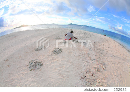 Collect coral at the beach Collect coral at the beach 252983