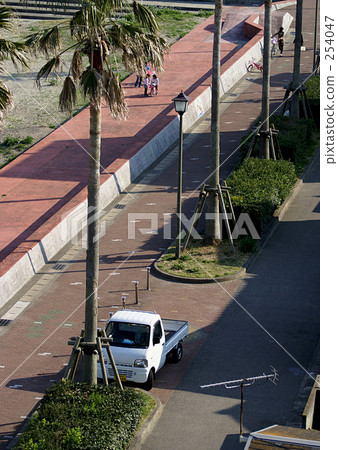 Road and shroud tree 254047