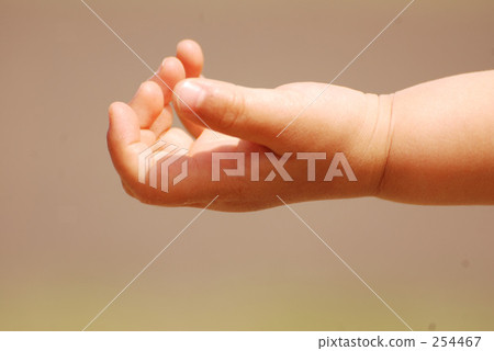 孩子的手 孩子的手 254467
