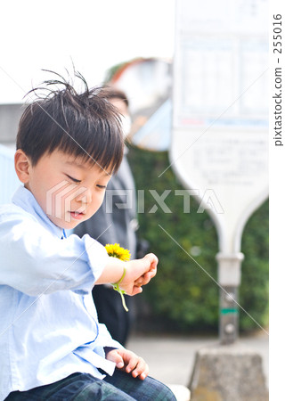 I do not have a bus. 255016