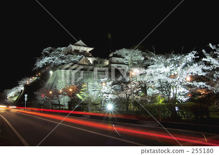 lit up, light up, cherry blossoms at night 255180