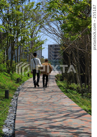 Nursing care 255187