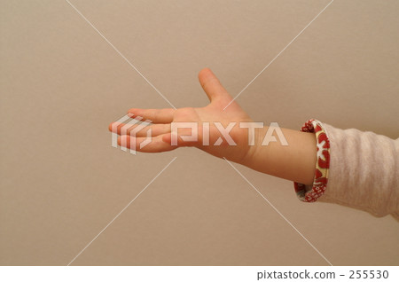 child, kid, whelp 255530