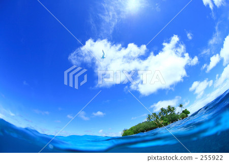 Sea and sky and birds Sea and sky and birds 255922