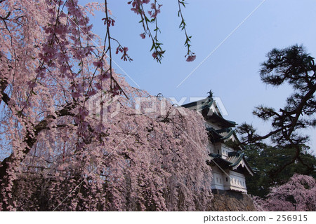 Okitakura和弘前城堡 256915