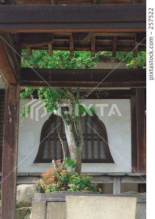 東大寺 東大寺 257522