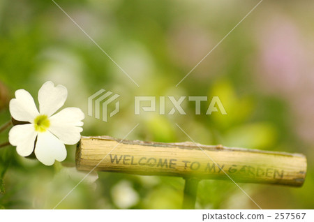 brown, browns, sign 257567