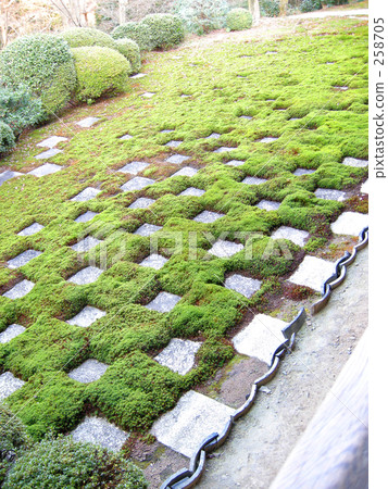 Checkered garden Checkered garden 258705