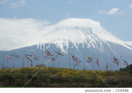 Fuji and carp streamers Fuji and carp streamers 259496