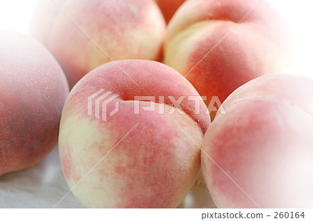 peach peach 260164