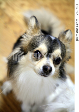 Crouching Crouching 260304