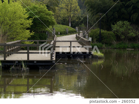 在公園裡的木橋 260352