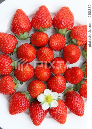strawberries, strawberry, chiba 260889