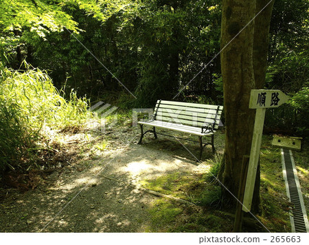 森林長椅 森林長椅 265663