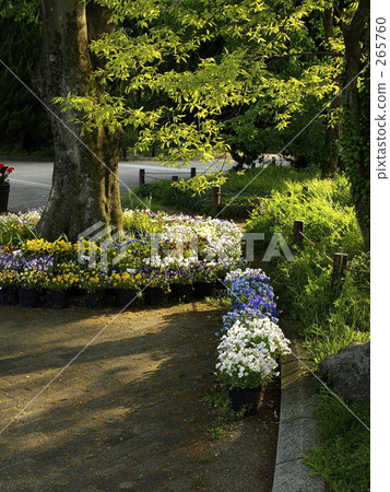 公園3 公園3 265760