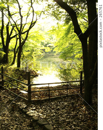 公園4 公園4 265761