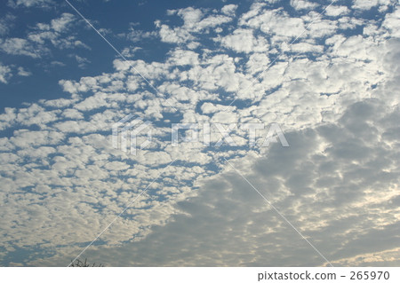 雲8 265970