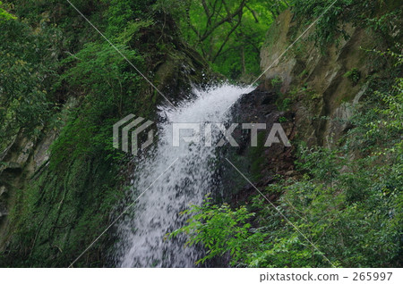 春季素材 水面 山溪 265997