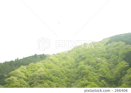 mountain, okutama, hikawa 266406