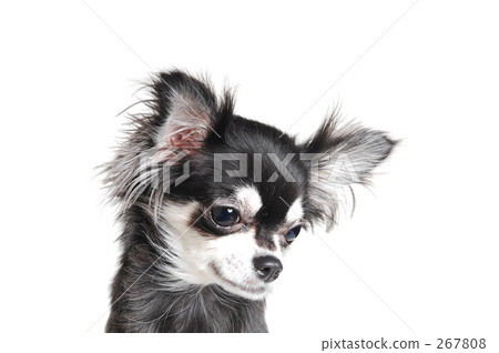 outlined characters, isolated, outline (something) 267808