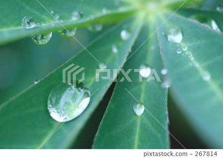 水滴 水滴 267814