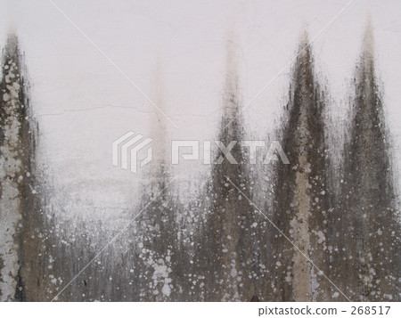 斯諾伊森林針葉樹 268517