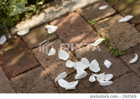 孤獨 分散 結束 268569