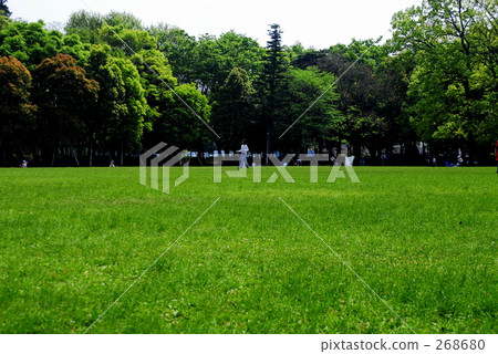 草坪廣場 草坪廣場 268680