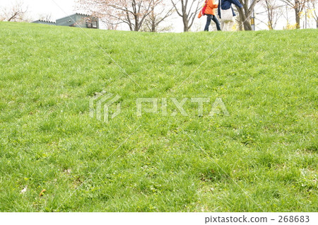 Green hill Green hill 268683