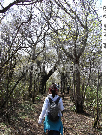 初夏徒步旅行 269706