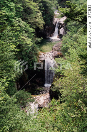 Fresh green and falls 272633