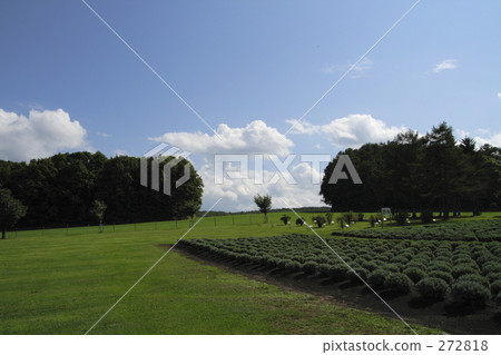 journey, touristic, travel 272818