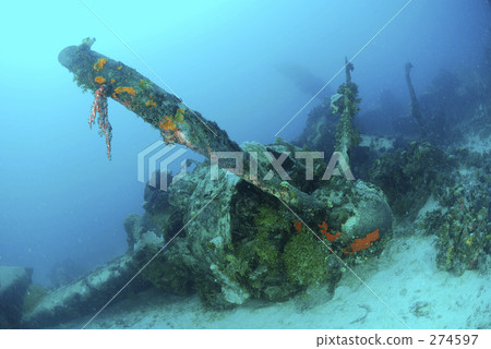 水下照片 楚克 密克羅尼西亞聯邦 274597