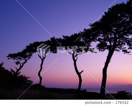 Dusk of Izu Oshima 276582